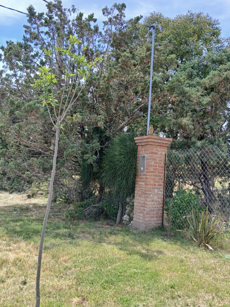 Lote Los Muñecos - Avenida Córdoba - 7