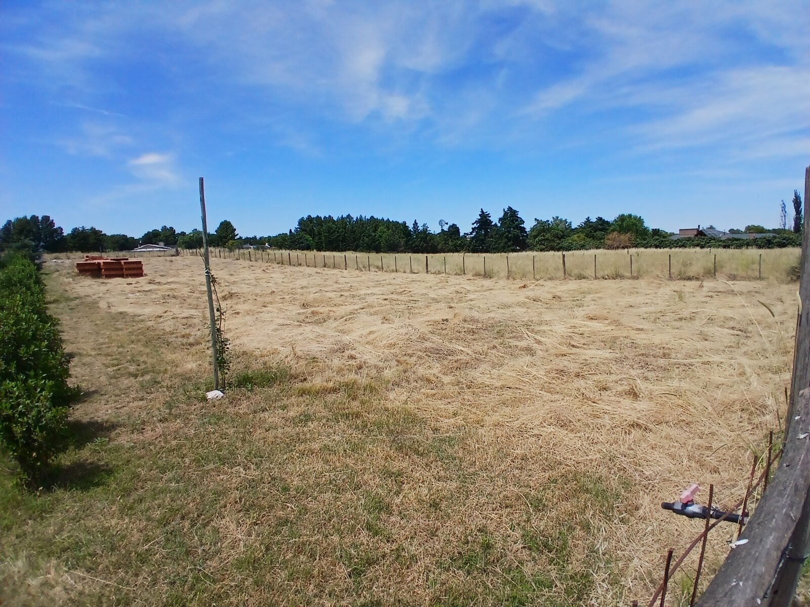 Lote Los Muñecos - Avenida Córdoba - 5
