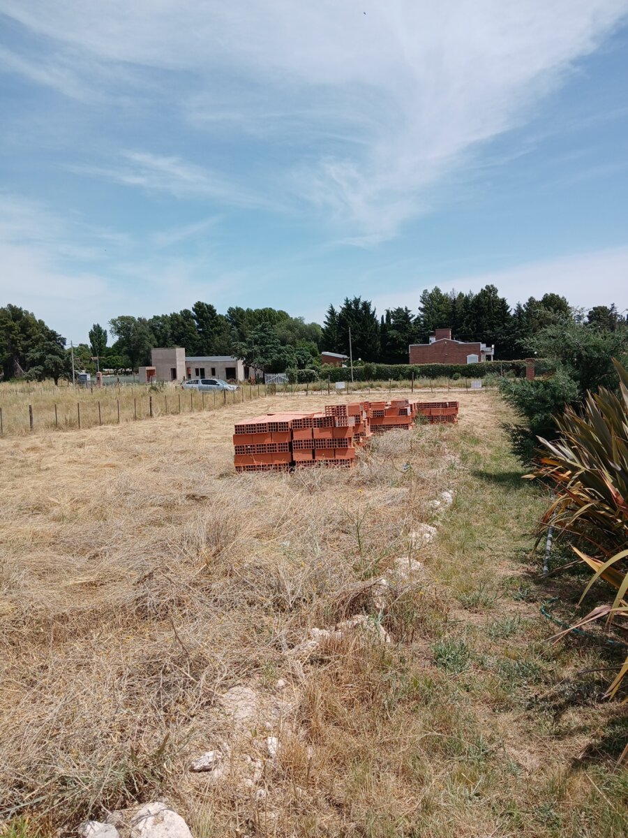 Lote Los Muñecos - Avenida Córdoba - 28