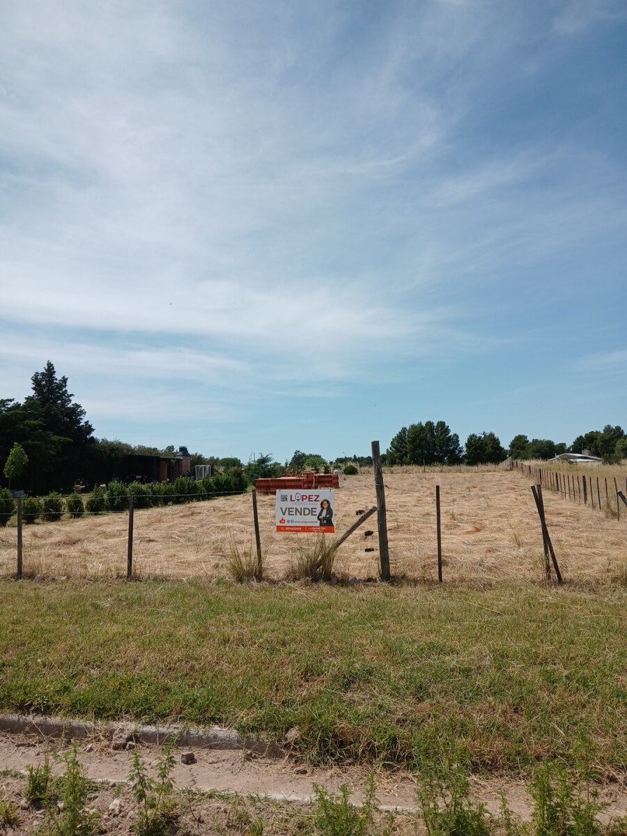 Lote Los Muñecos - Avenida Córdoba - 19