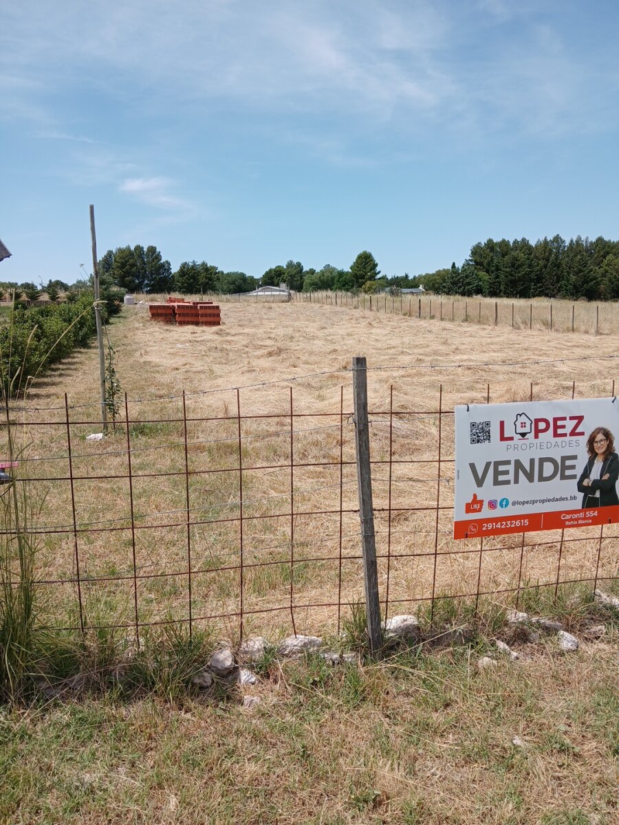 Lote Los Muñecos - Avenida Córdoba - 35