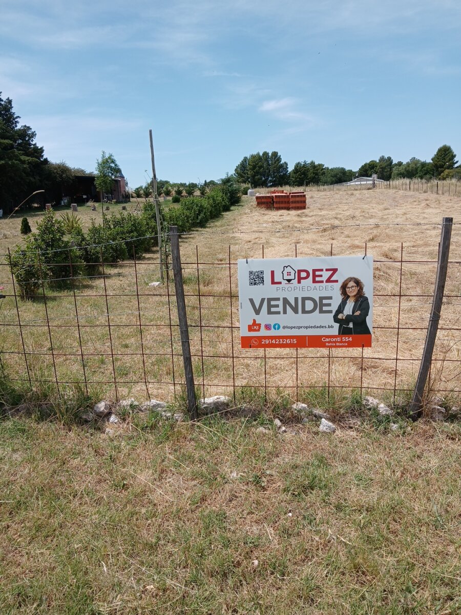 Lote Los Muñecos - Avenida Córdoba - 31