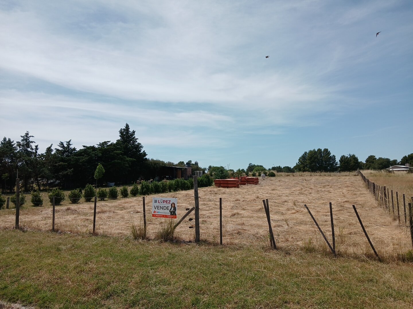 Lote Los Muñecos - Avenida Córdoba - 18