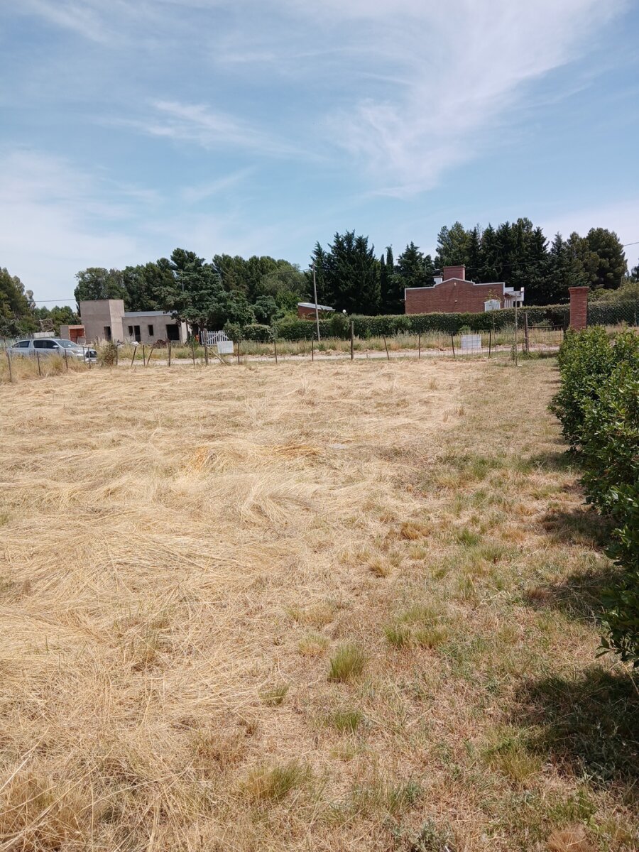 Lote Los Muñecos - Avenida Córdoba - 30
