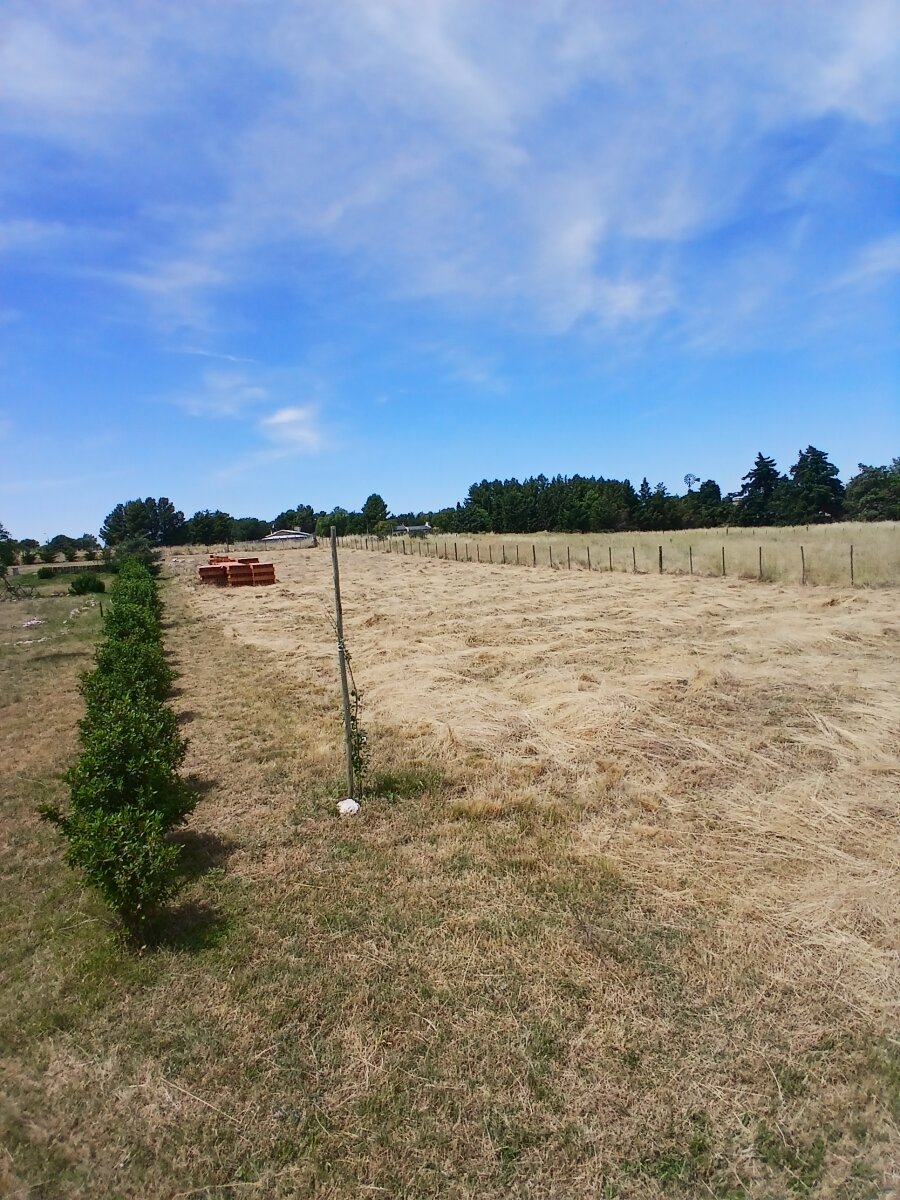 Lote Los Muñecos - Avenida Córdoba - 4