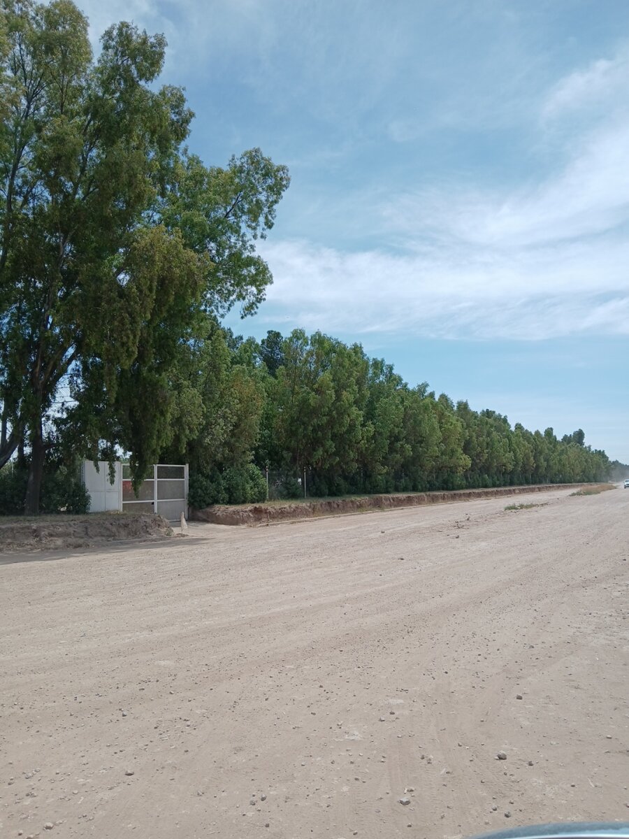 Lote Los Muñecos - Avenida Córdoba - 44