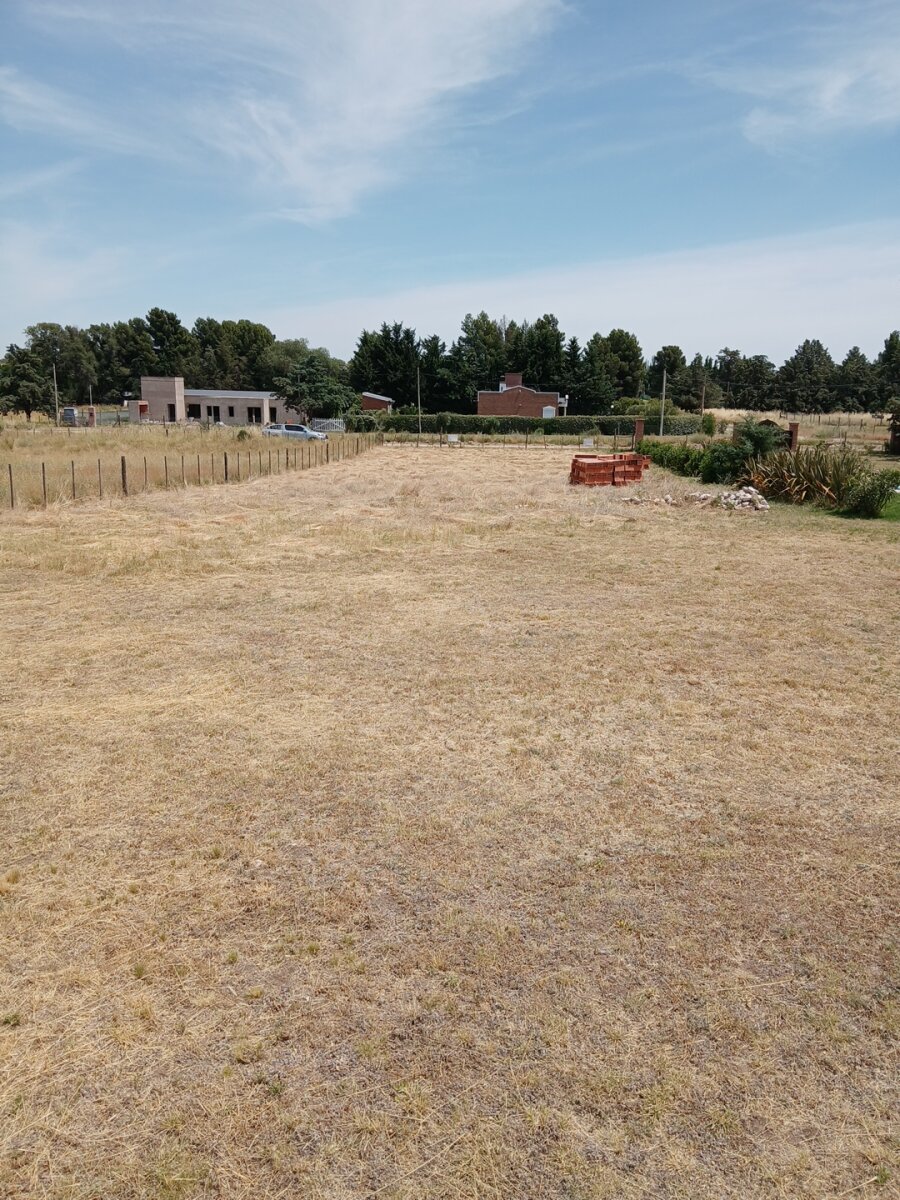 Lote Los Muñecos - Avenida Córdoba - 27
