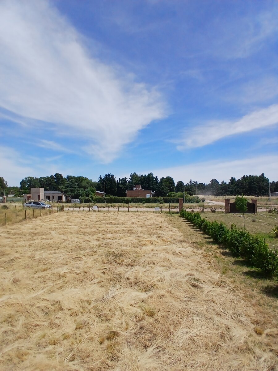 Lote Los Muñecos - Avenida Córdoba - 9