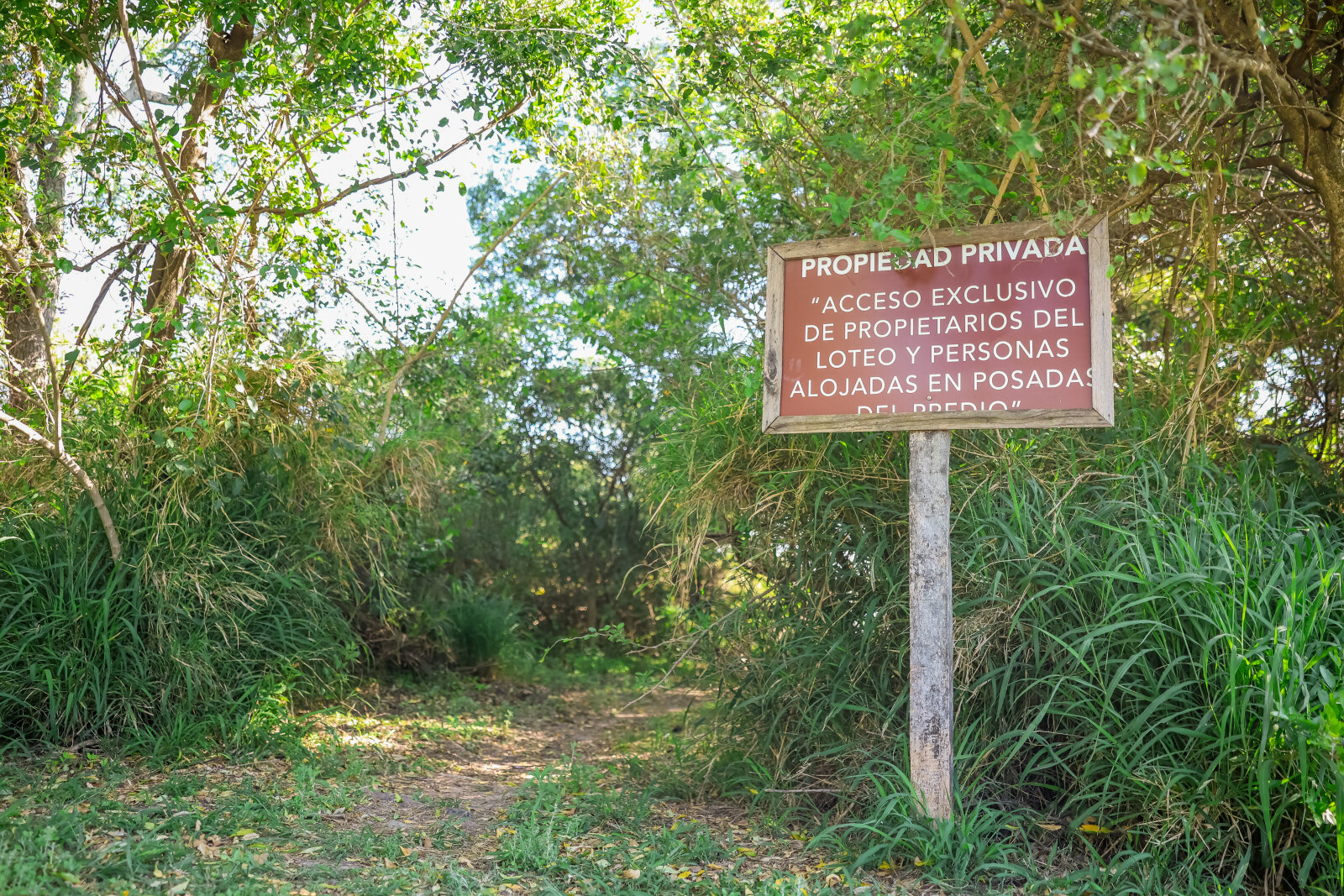 Hosteria en Venta frente al Rio Parana en Pcia. de Corrientes - 9