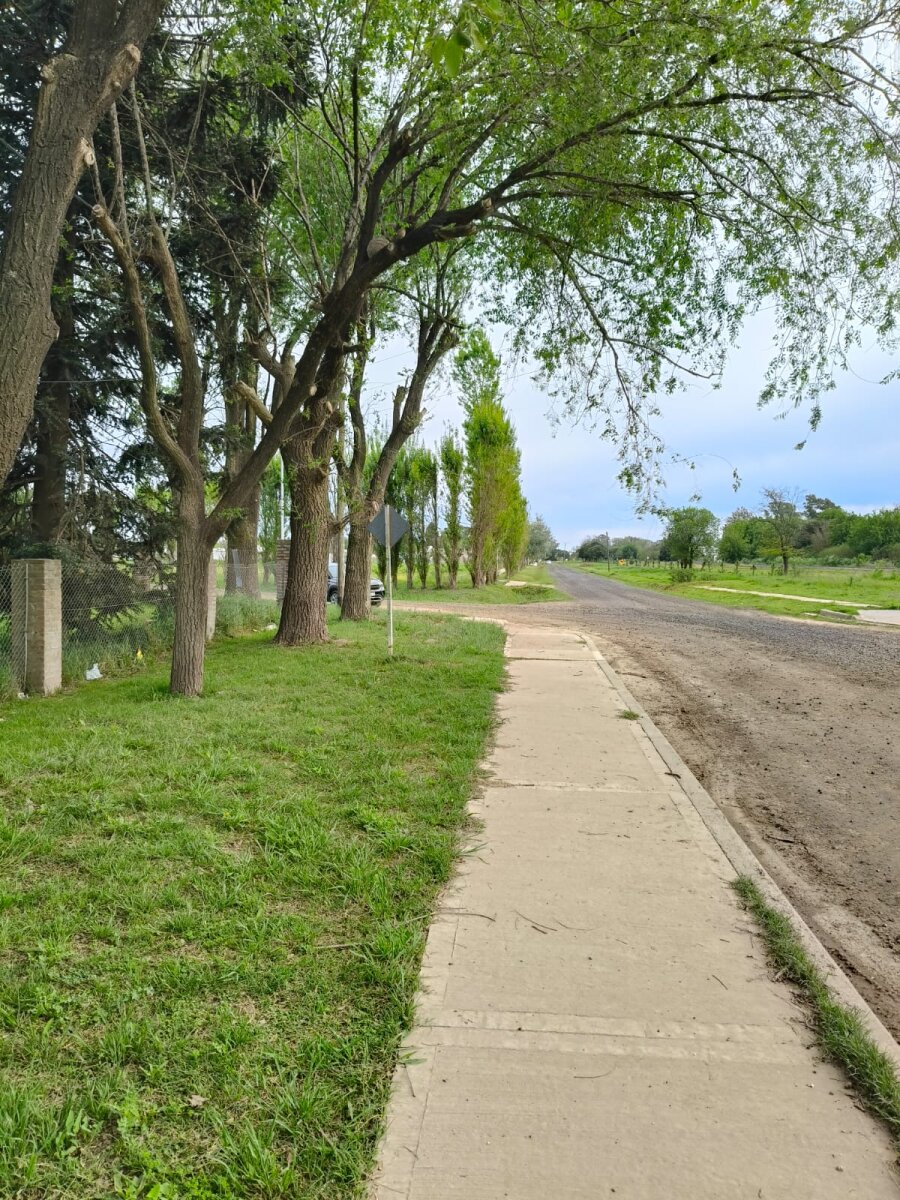 Lotes sobre Colectora en barrio La Paloma de Timbúes - 9