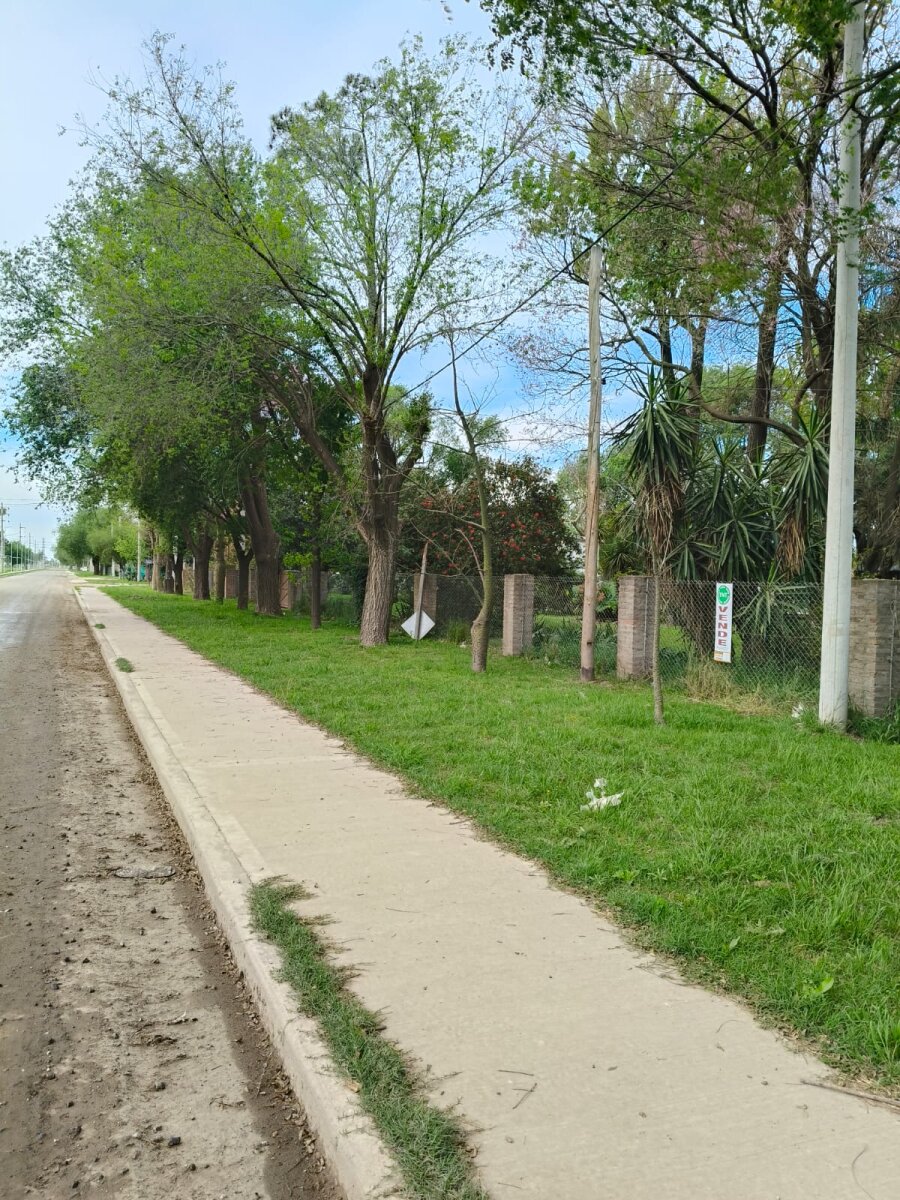 Lotes sobre Colectora en barrio La Paloma de Timbúes - 10