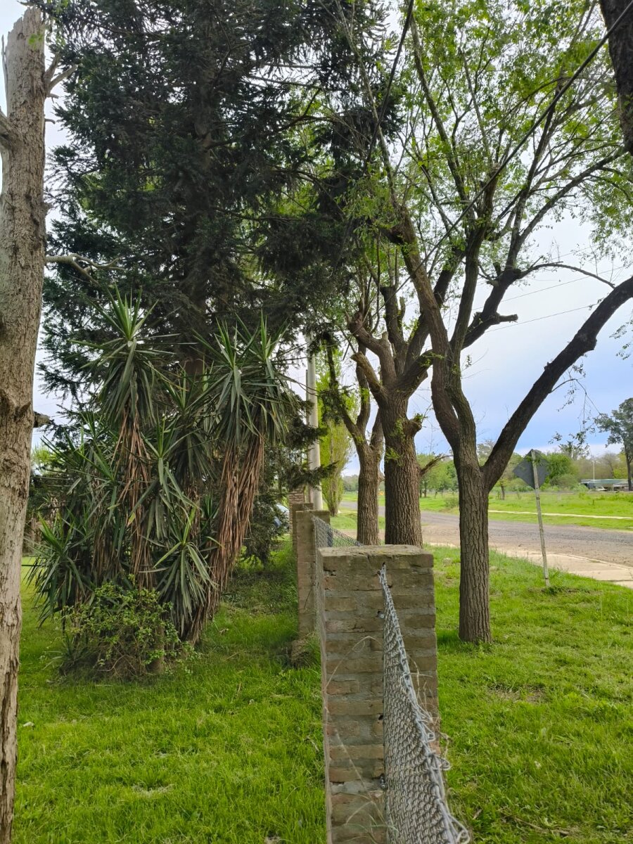Lotes sobre Colectora en barrio La Paloma de Timbúes - 7