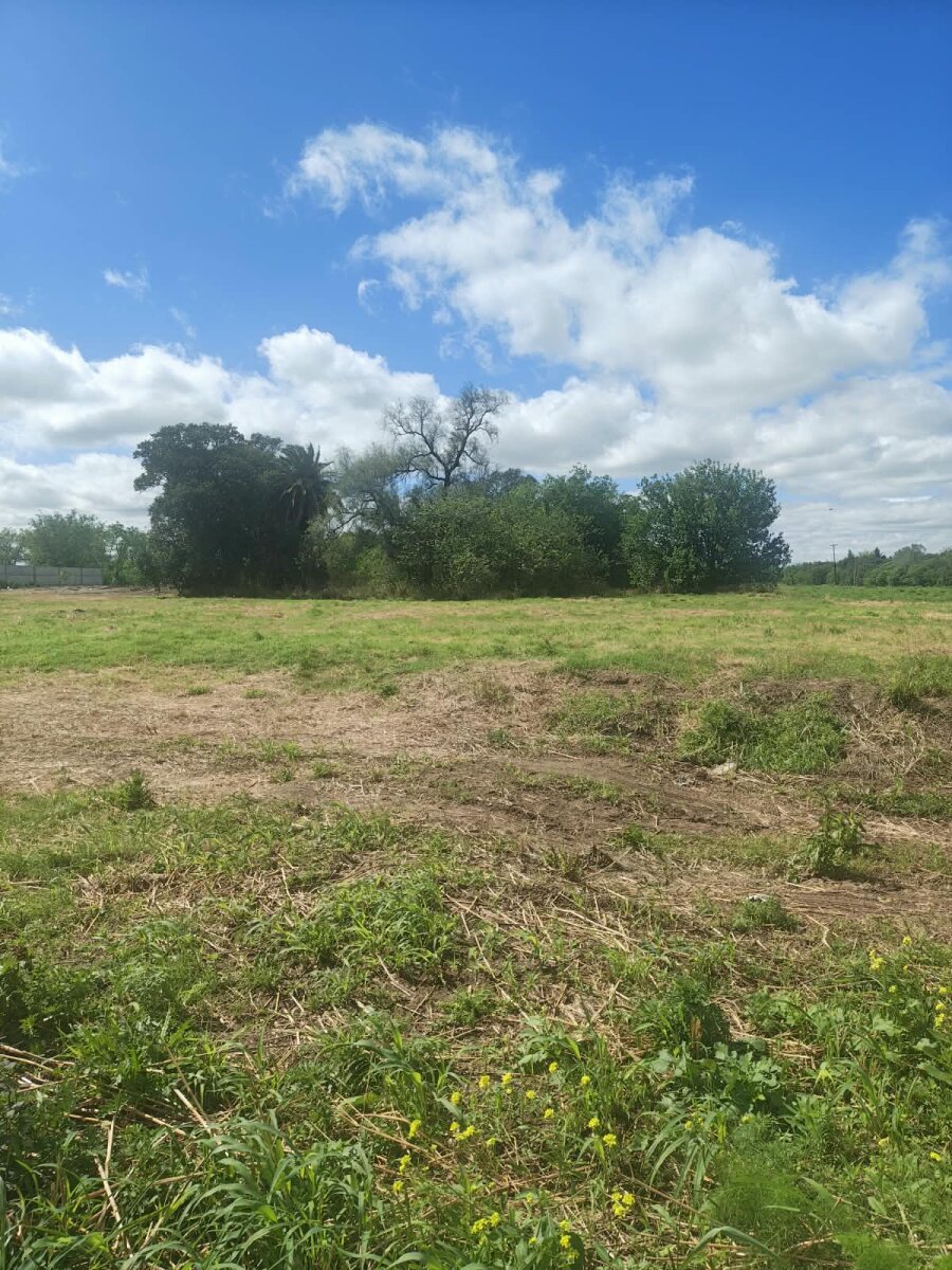 Lote Industrial Villa Gran Parque - 3