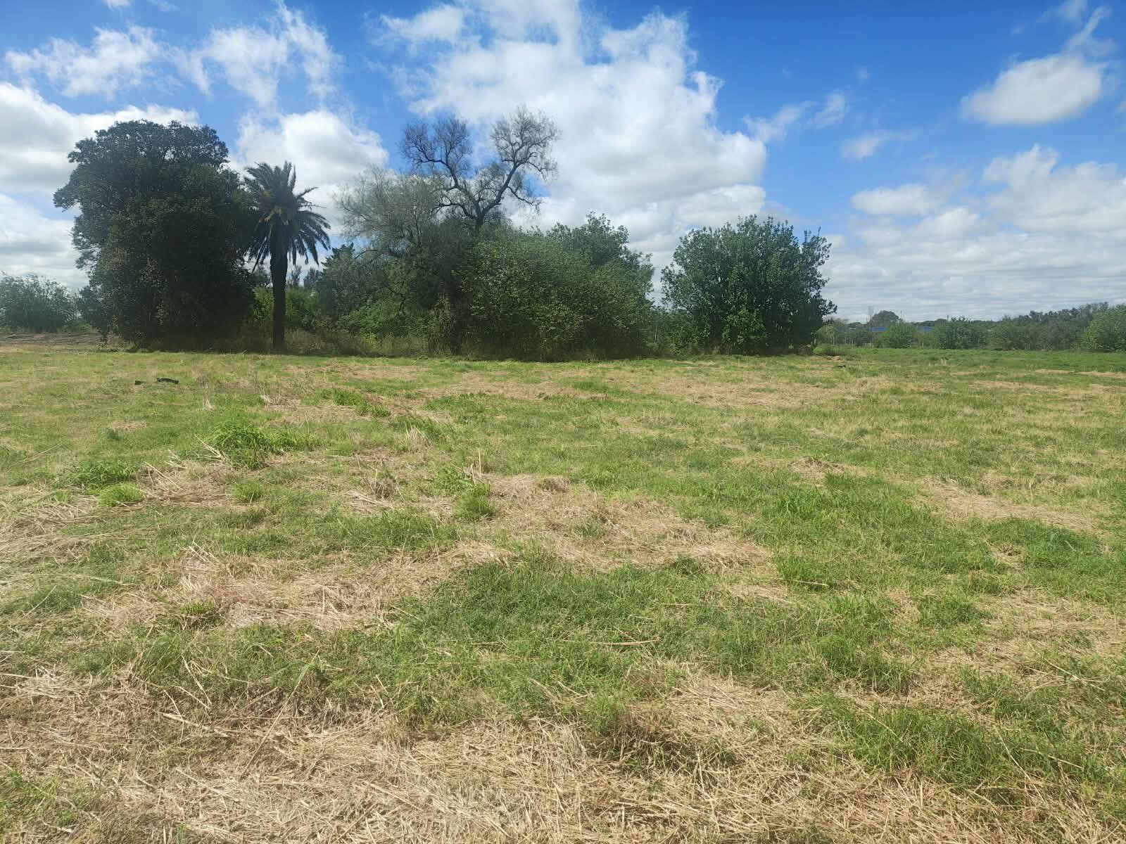 Lote Industrial Villa Gran Parque - 6