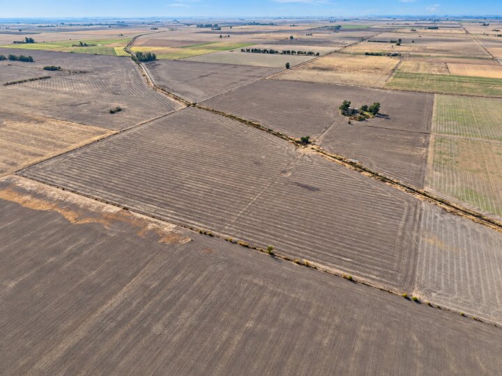 Campos - San Jeronimo Del Sauce - Venta