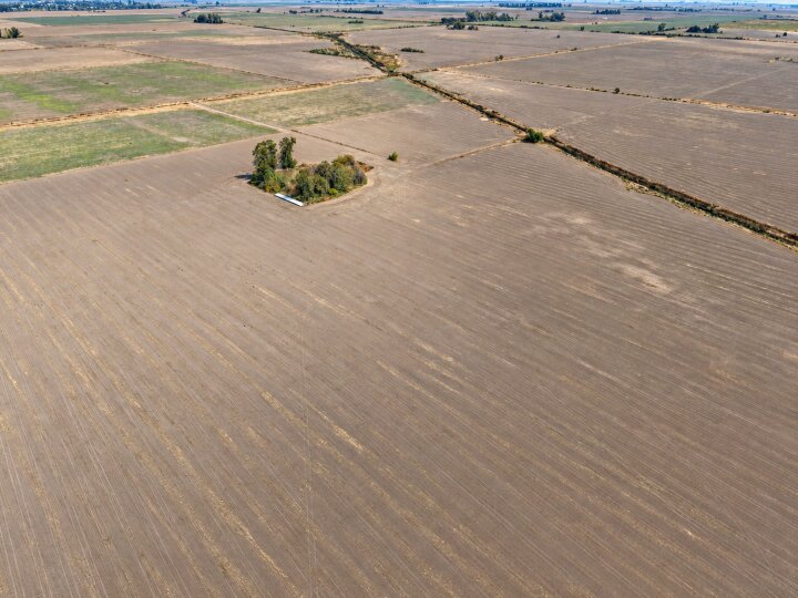 Campos - San Jeronimo Del Sauce - Venta