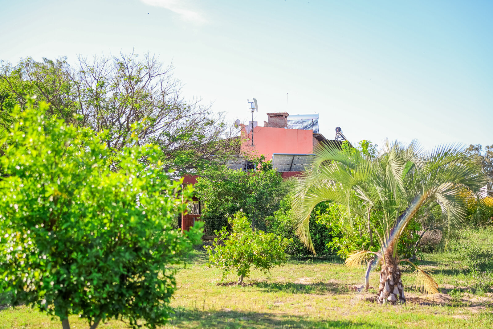 Quinta en Venta frente al Rio Parana en Pcia. de Corrientes - 11