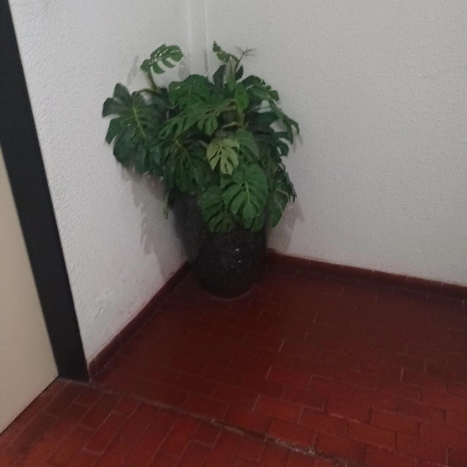 Departamento 3.Amb, $950.000.-Alberti 1600,C/BALCÓN, LiSTO PARA HABITAR — foto 7
