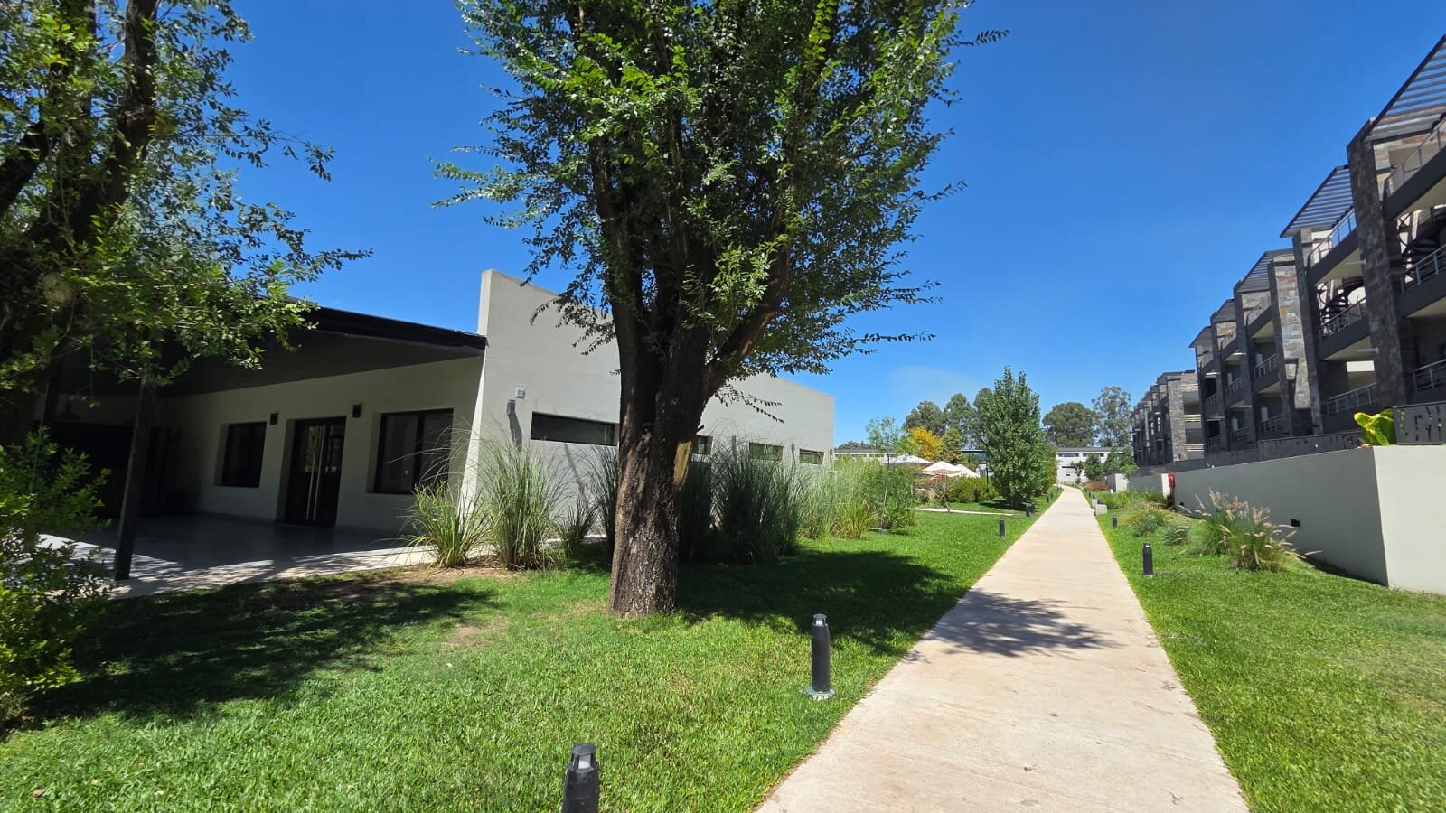 Ayres de Canning - 15