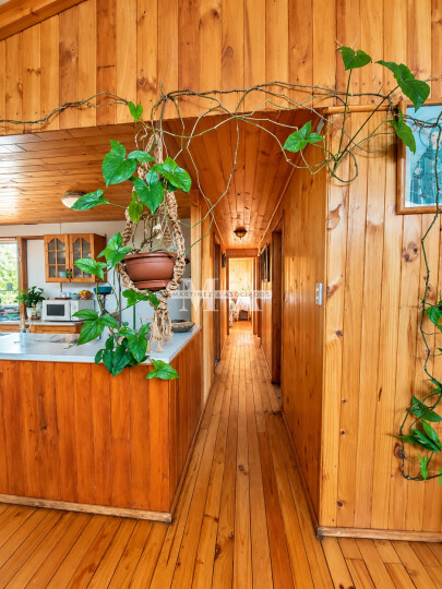 Terreno en venta en San Pedro — fotografía 9