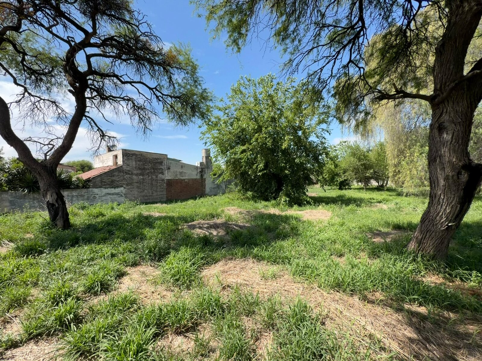 LOTE EN VENTA VILLA RIVERA INDARTE - 2