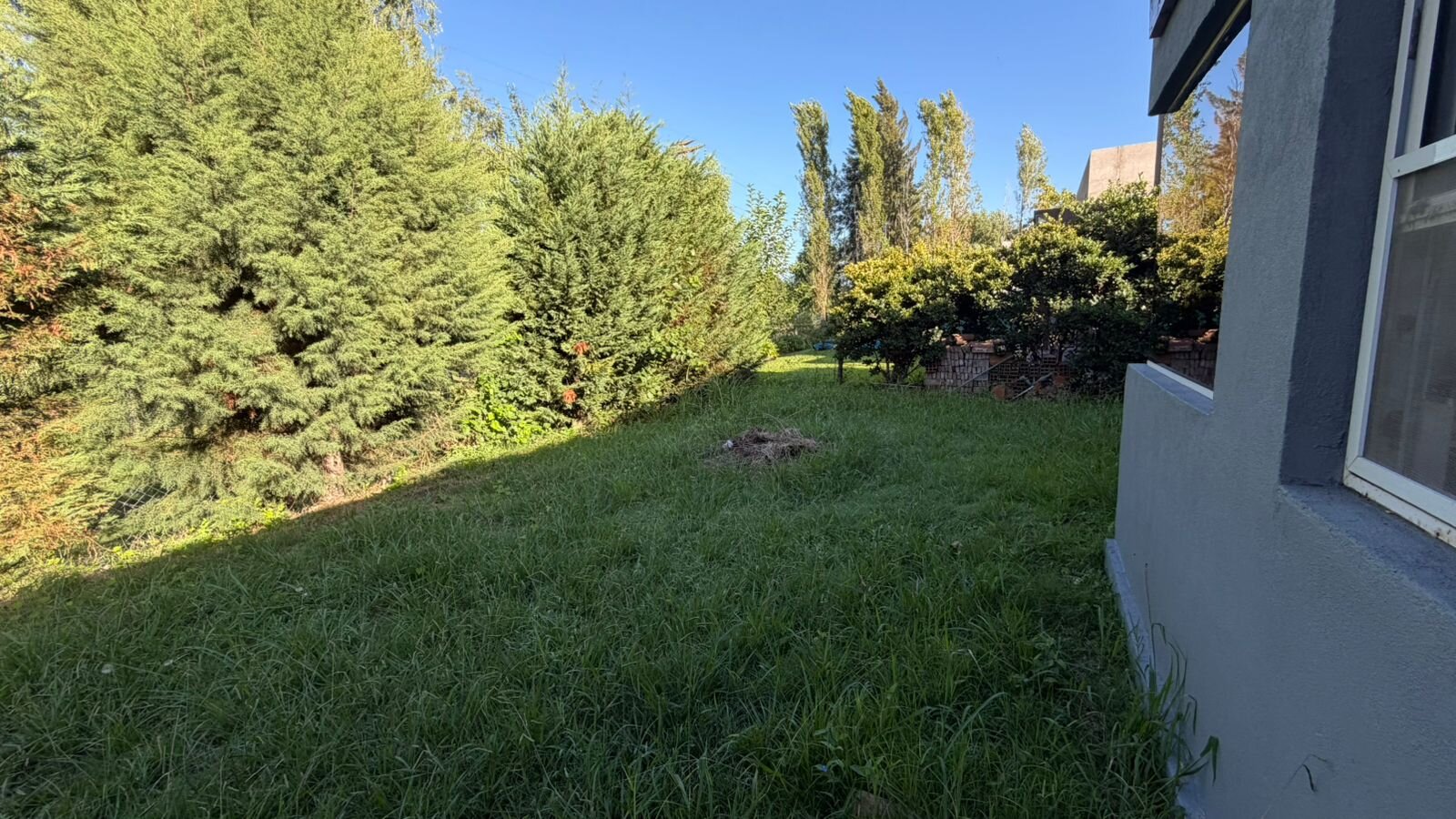 Casa en alquiler Los Tilos — foto 15