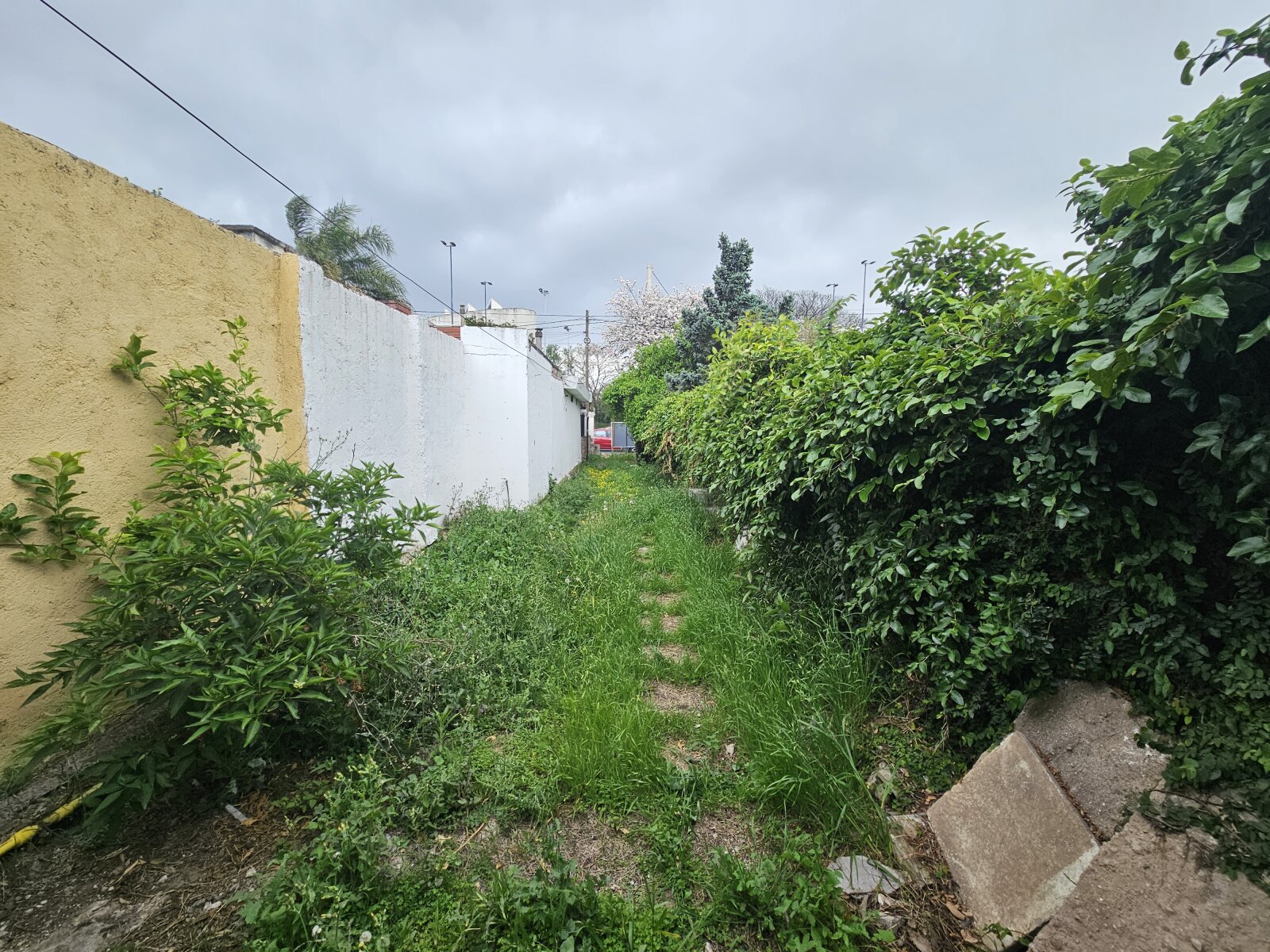 Posesión de casa interna enfrente al CPC de Monseñor Pablo Cabrera — foto 10