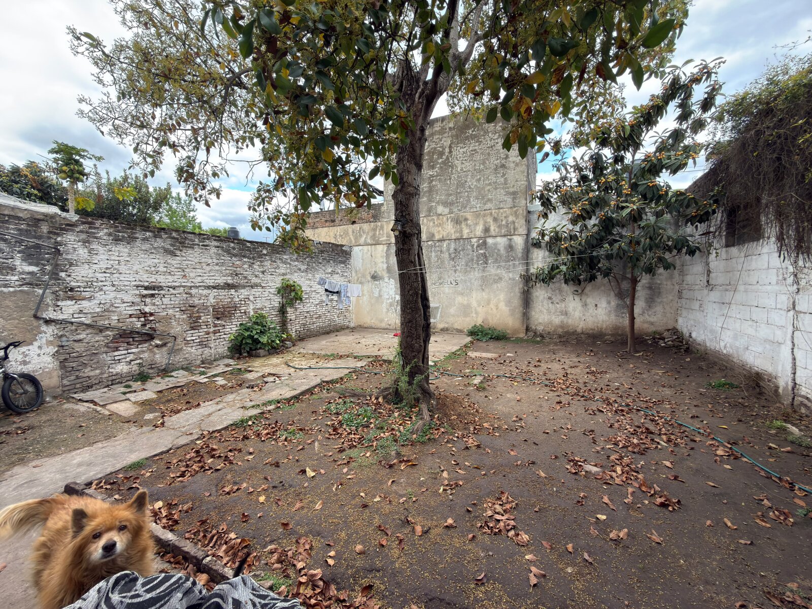 Casa a reciclar, barrio Cinco Esquinas — foto 11