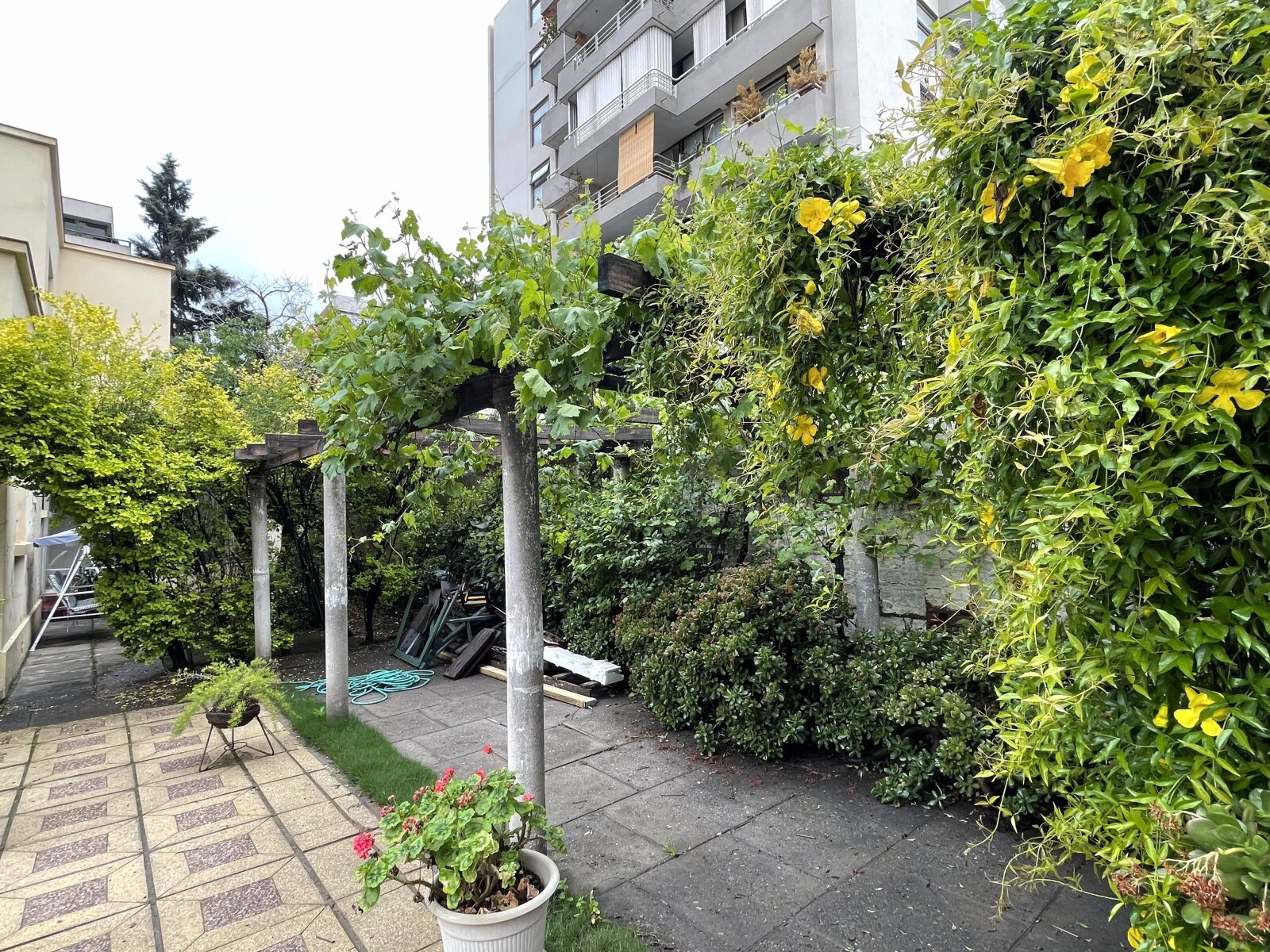 Foto 19