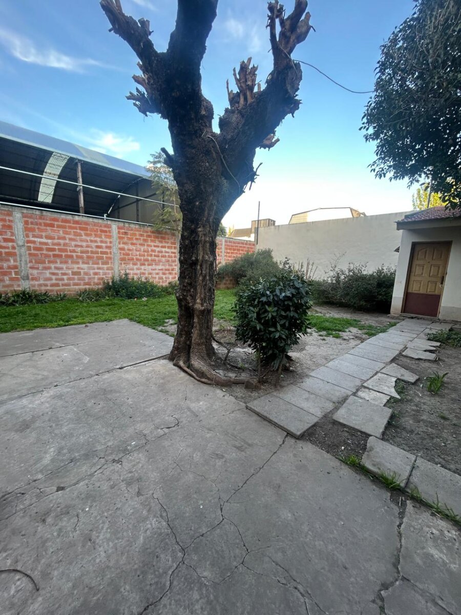 VTA:APTO CRÉDITO Casa amplia c/local y galpón-BELLA VISTA-San Miguel - 21