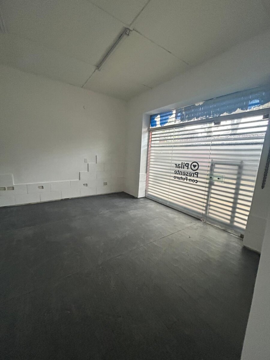 ALQUILER COMECIAL predio 1200m²-MICROCENTRO PILAR - 14
