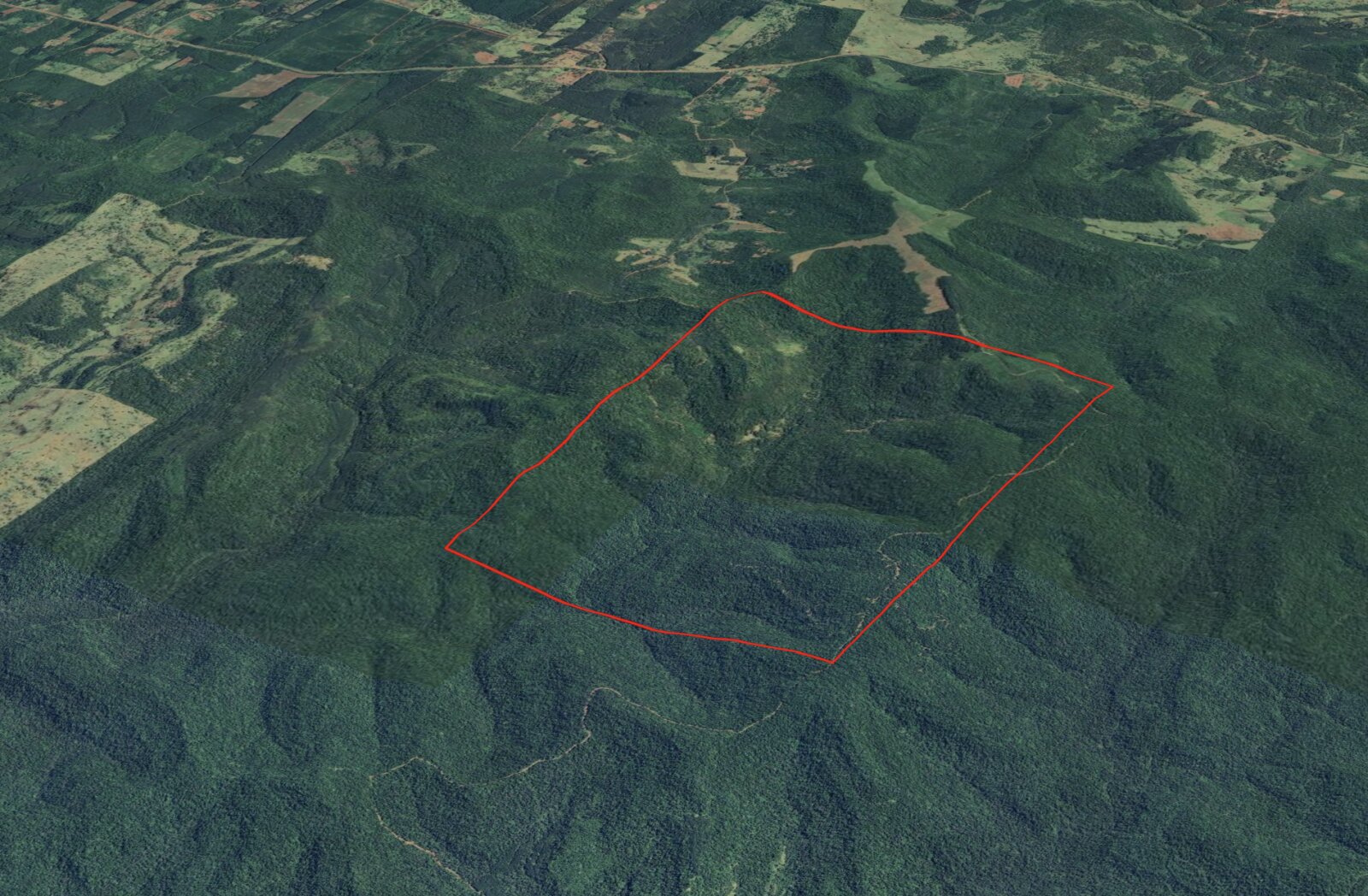 PROPIEDAD AGROFORESTAL DE 750 HECTÁREAS EN VENTA - 3