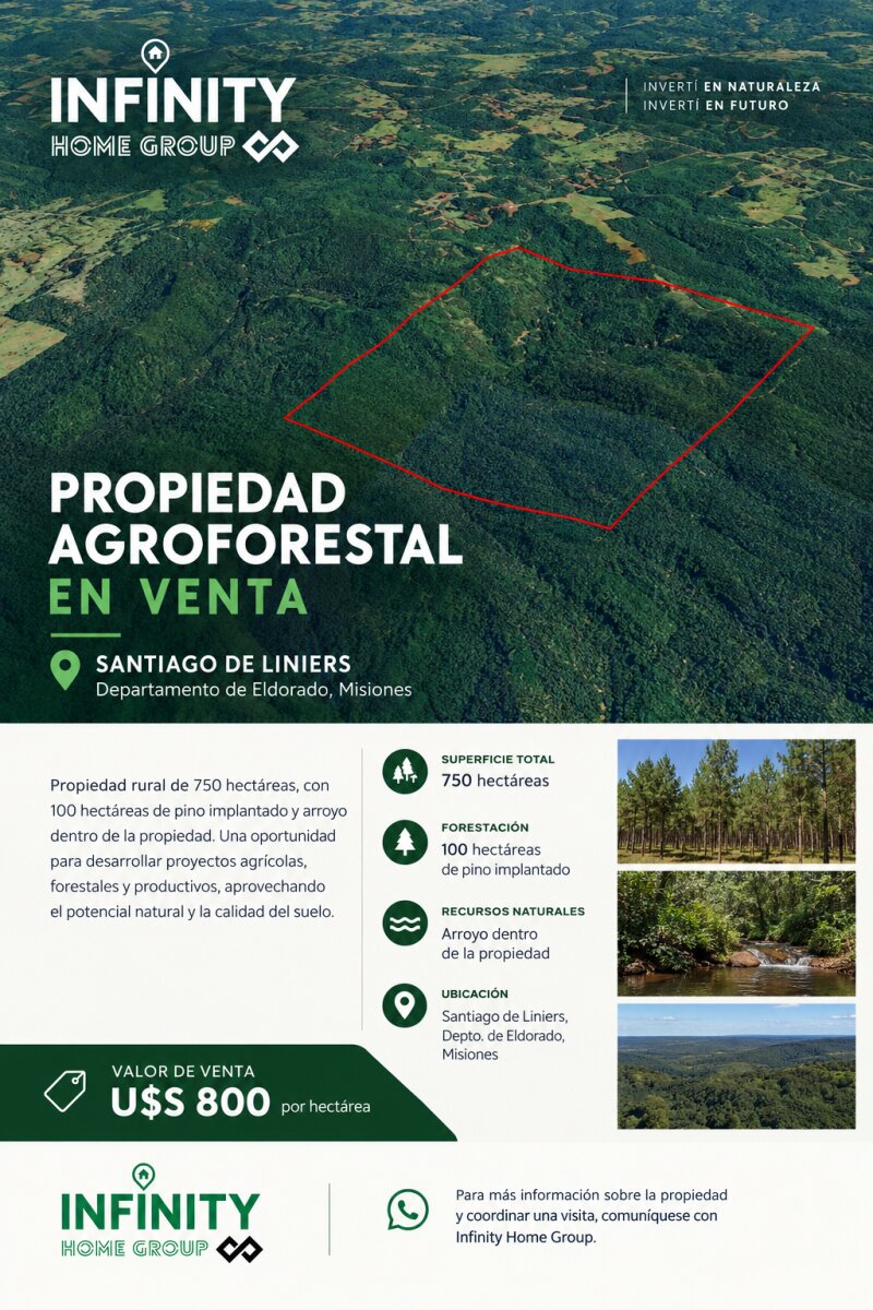 PROPIEDAD AGROFORESTAL DE 750 HECTÁREAS EN VENTA - 1