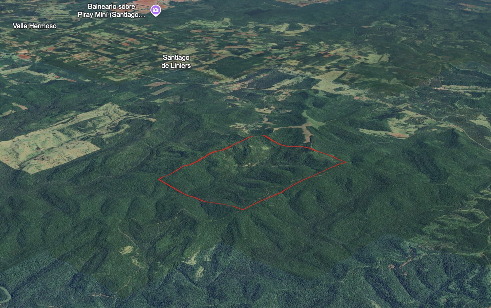 PROPIEDAD AGROFORESTAL DE 750 HECTÁREAS EN VENTA - 2