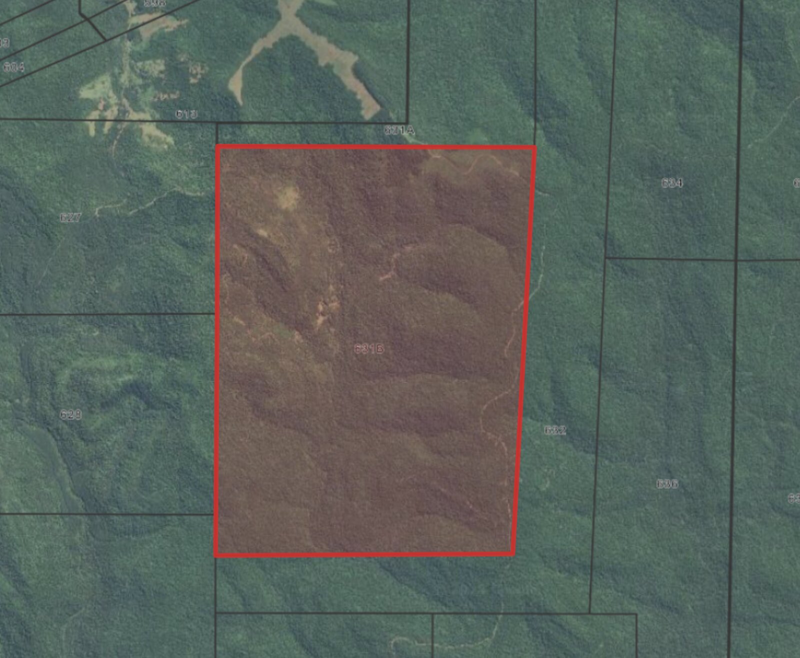 PROPIEDAD AGROFORESTAL DE 750 HECTÁREAS EN VENTA - 5