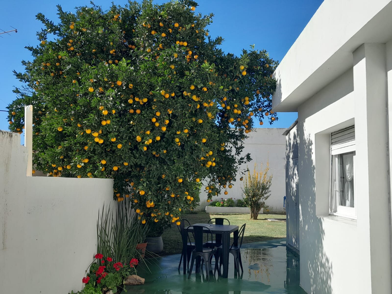 Venta de Casa en Rio Ceballos — foto 4