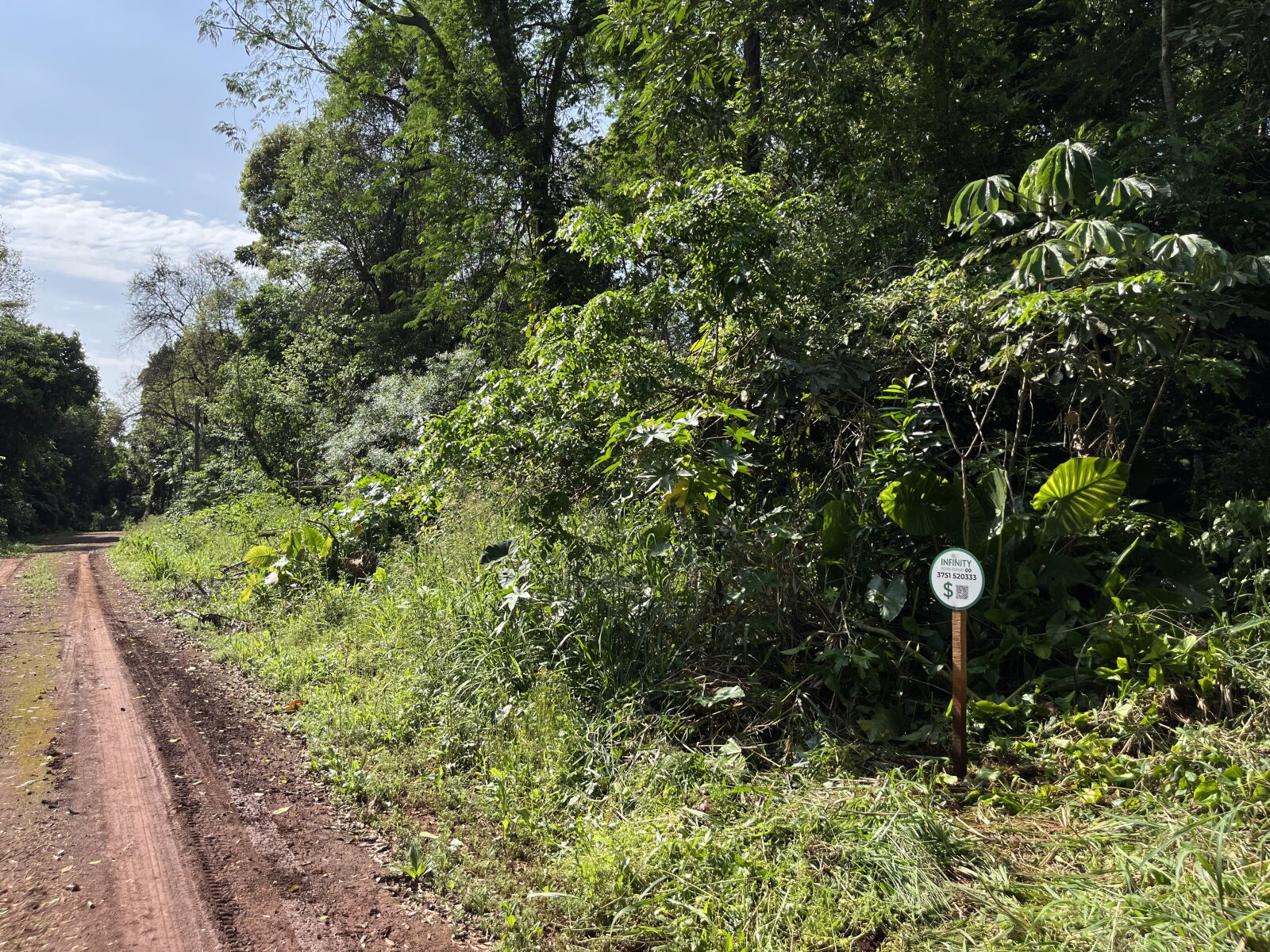 TERRENO RESIDENCIAL EN VENTA EN EL KM11 DE ELDORADO | MISIONES - 2