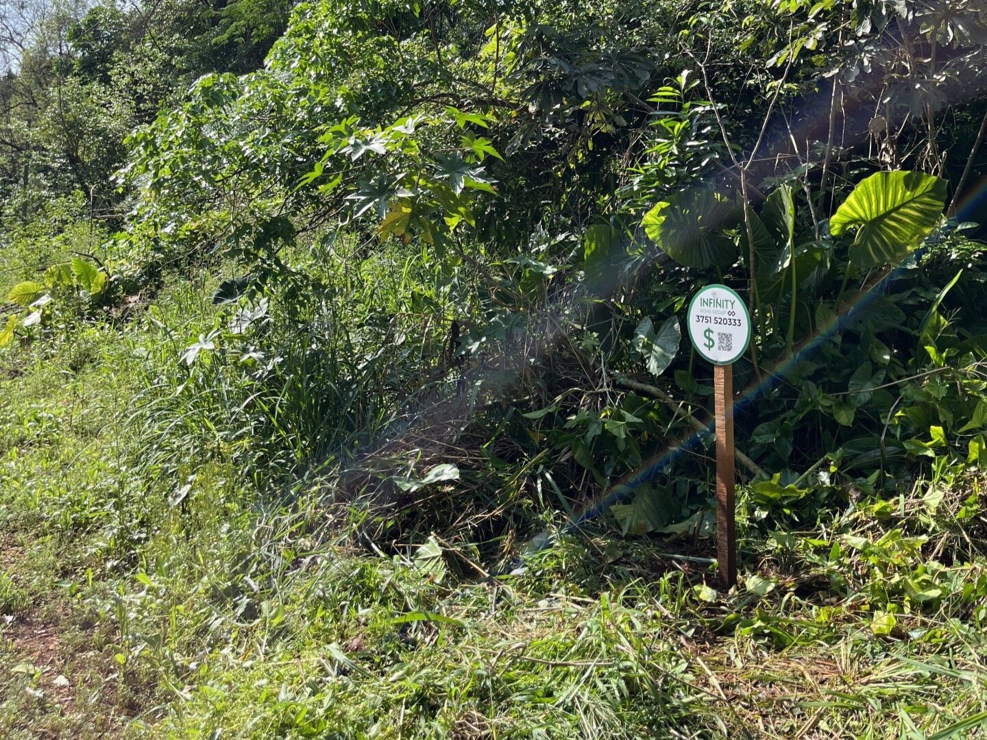 TERRENO RESIDENCIAL EN VENTA EN EL KM11 DE ELDORADO | MISIONES - 6