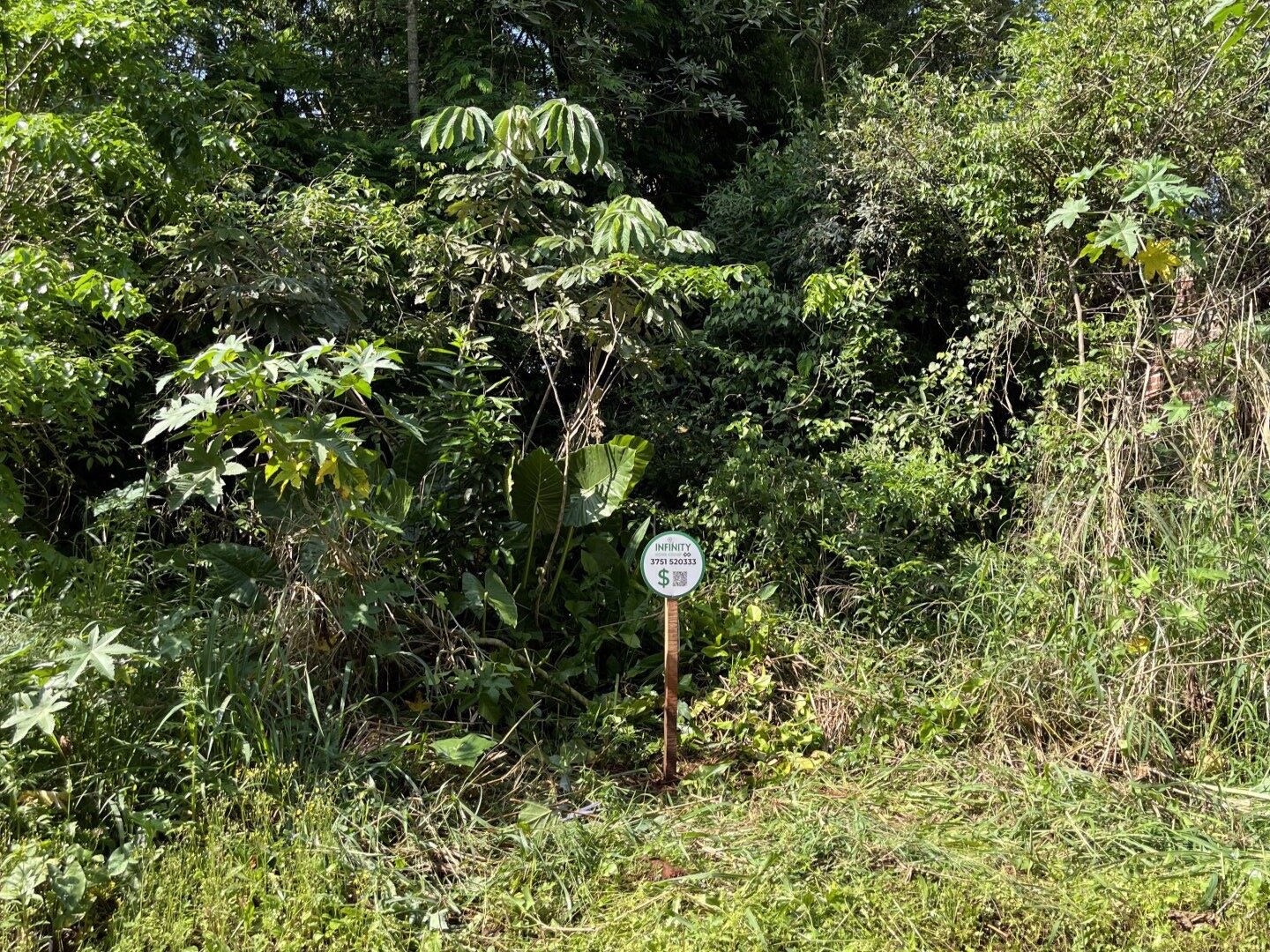 TERRENO RESIDENCIAL EN VENTA EN EL KM11 DE ELDORADO | MISIONES - 4