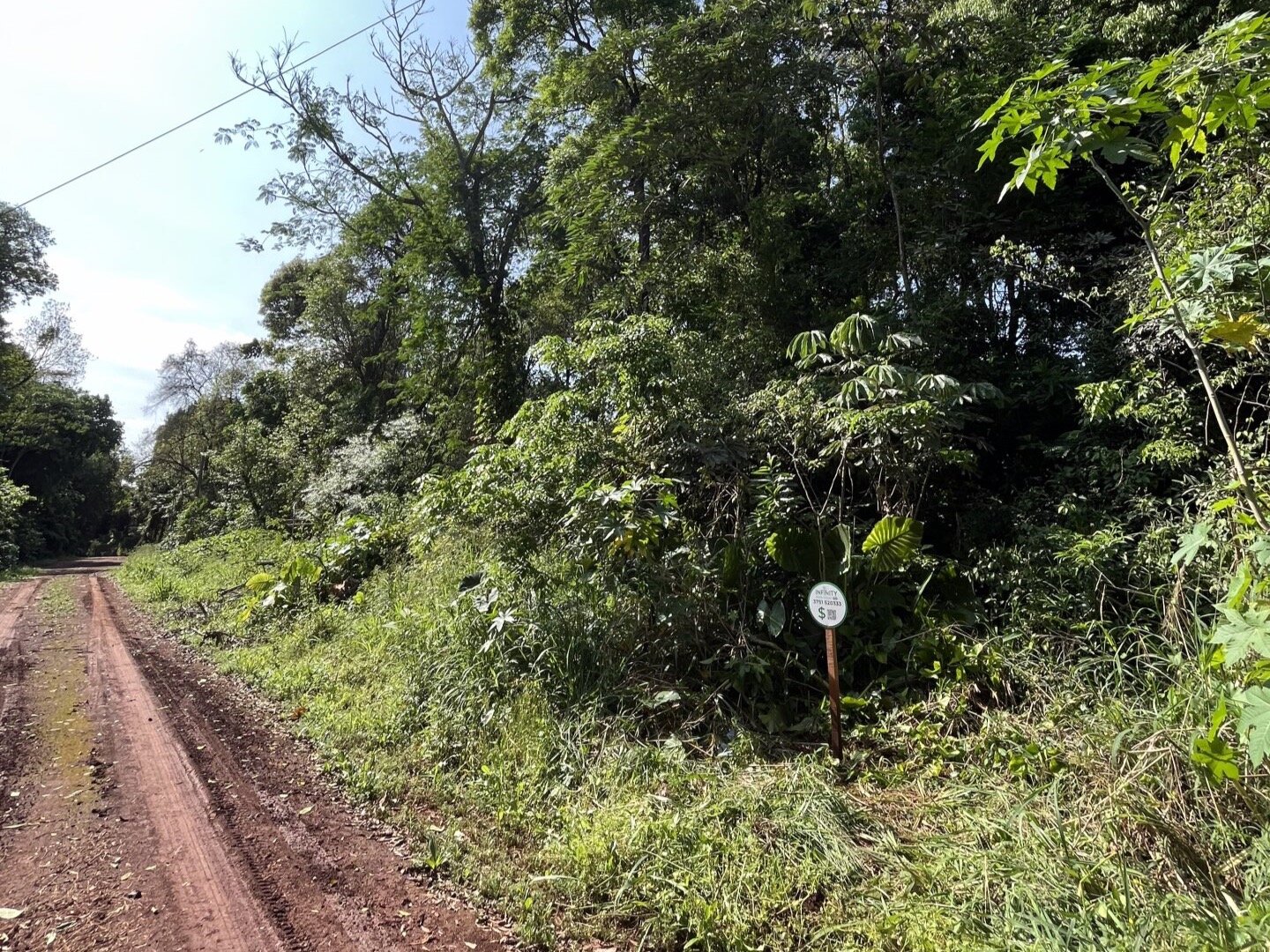 TERRENO RESIDENCIAL EN VENTA EN EL KM11 DE ELDORADO | MISIONES - 8