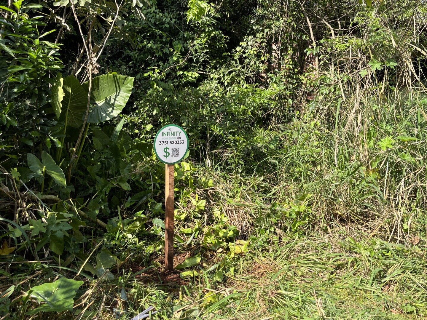 TERRENO RESIDENCIAL EN VENTA EN EL KM11 DE ELDORADO | MISIONES - 7