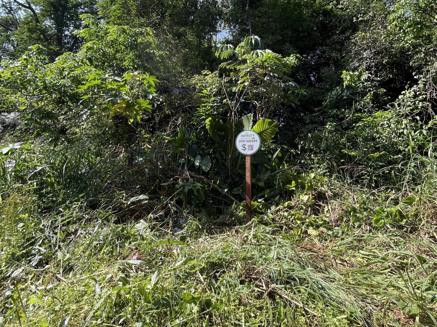 TERRENO RESIDENCIAL EN VENTA EN EL KM11 DE ELDORADO | MISIONES - 9