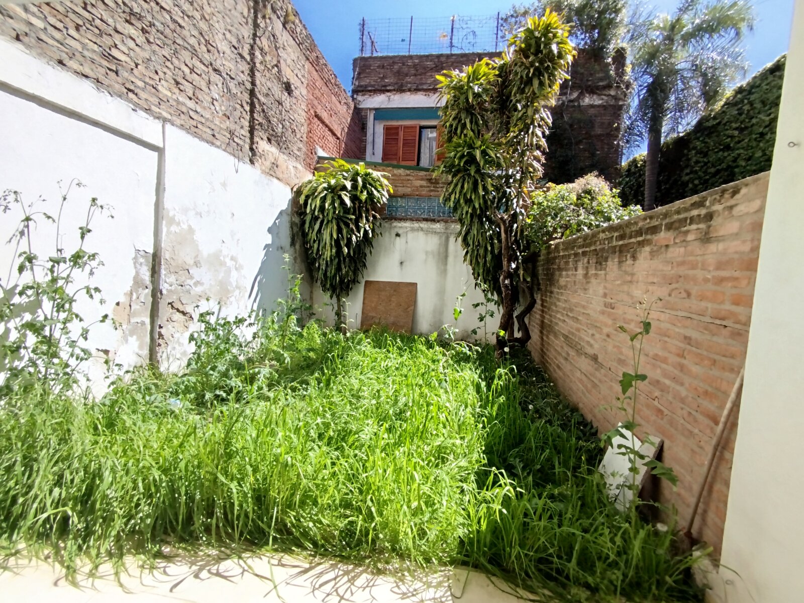 VENTA – MONOAMBIENTE CON AMPLIO PATIO – CONSTITUCIÓN 460 — foto 12