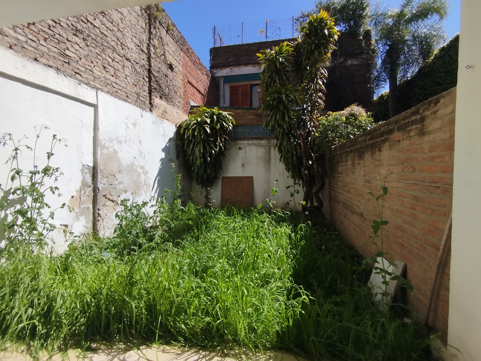 VENTA – MONOAMBIENTE CON AMPLIO PATIO – CONSTITUCIÓN 460 — foto 10
