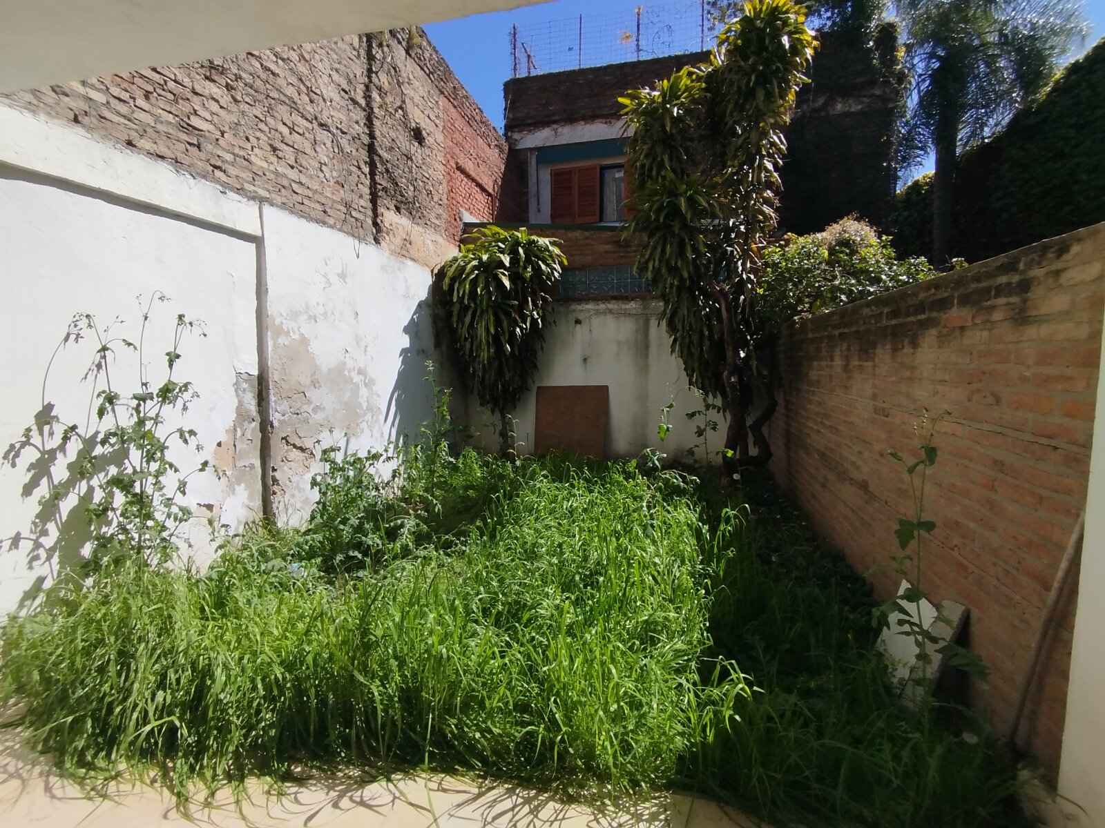 VENTA – MONOAMBIENTE CON AMPLIO PATIO – CONSTITUCIÓN 460 — foto 11