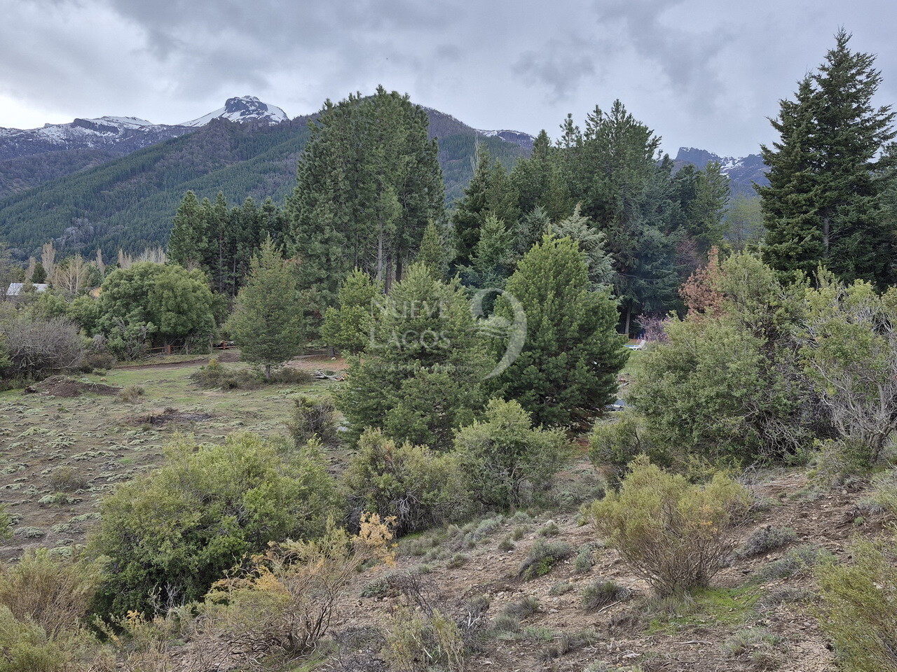 Venta de lote con fondo de espacio verde en Villa Lago Meliquina - 10