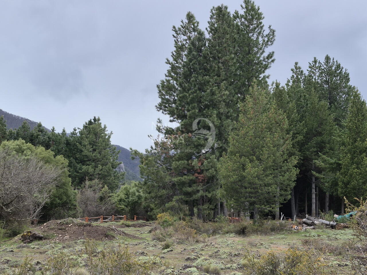 Venta de lote con fondo de espacio verde en Villa Lago Meliquina - 7
