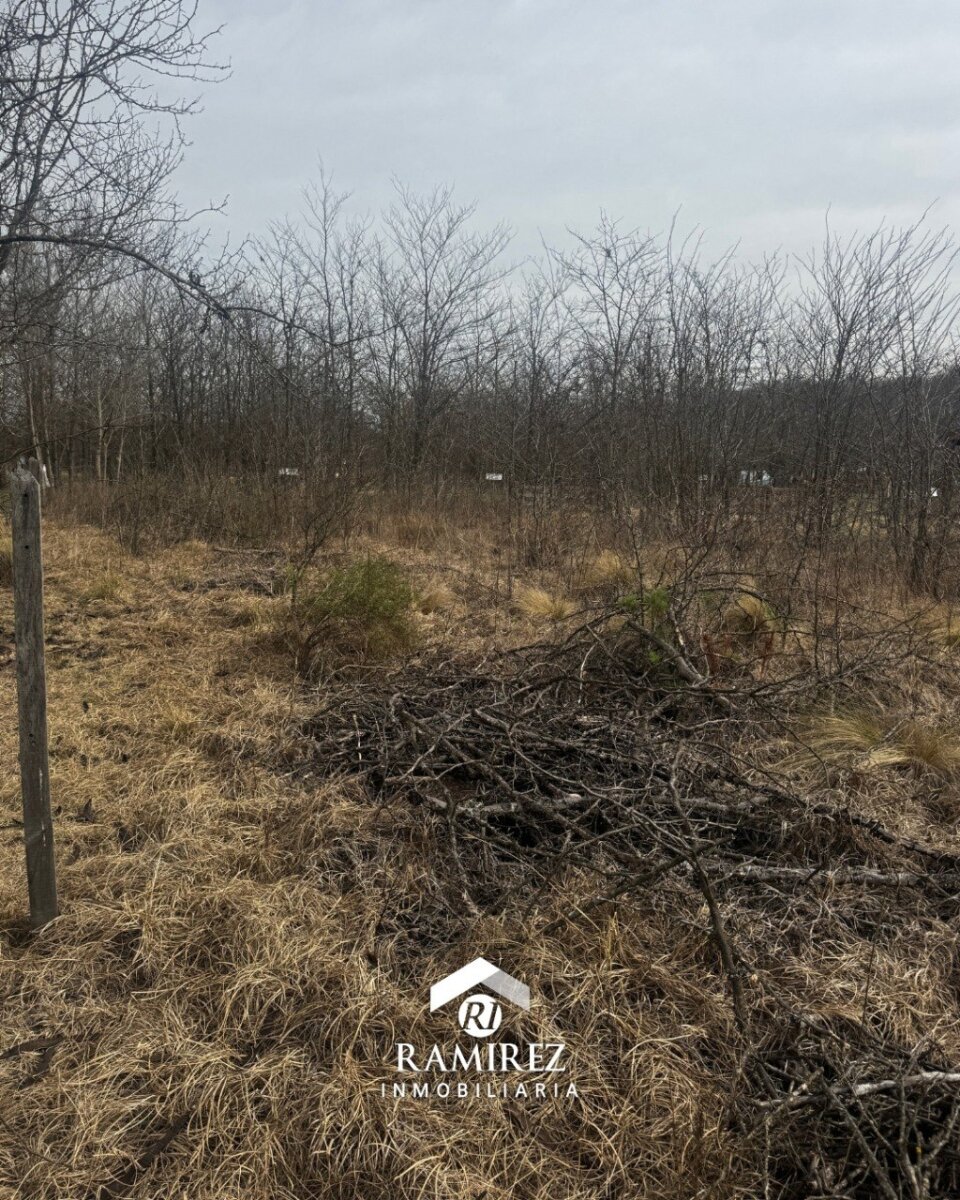 LOTE EN VENTA - SANTA ROSA DE CALAMUCHITA (LT43) - 3