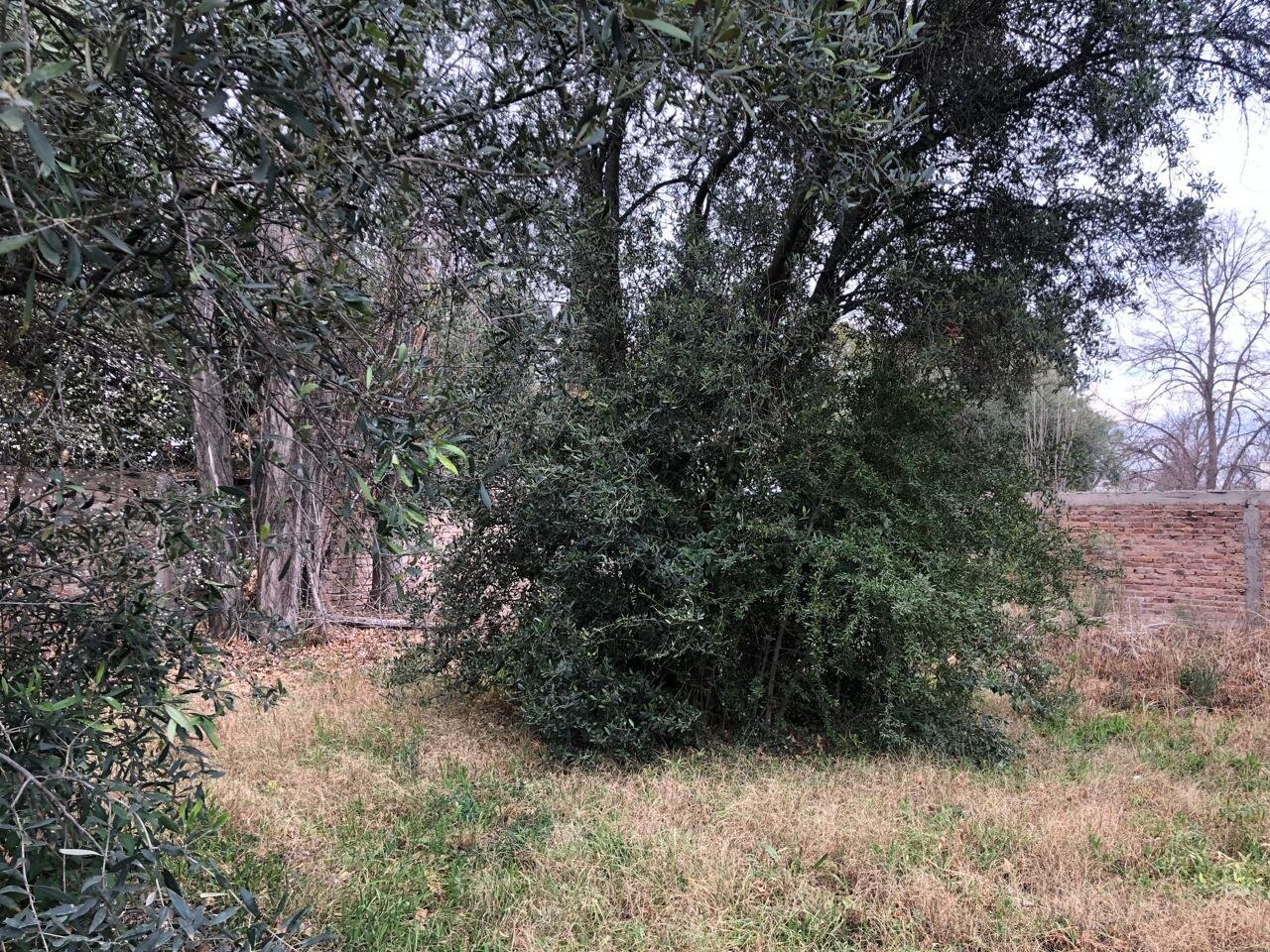 ORIGO VENDE LOTE DE 820 M² | CORAZÓN DE CHACRAS | CALLEJÓN PRIVADO - 13