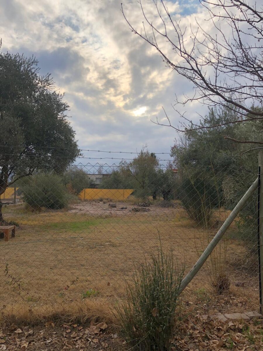 ORIGO VENDE LOTE DE 820 M² | CORAZÓN DE CHACRAS | CALLEJÓN PRIVADO - 15